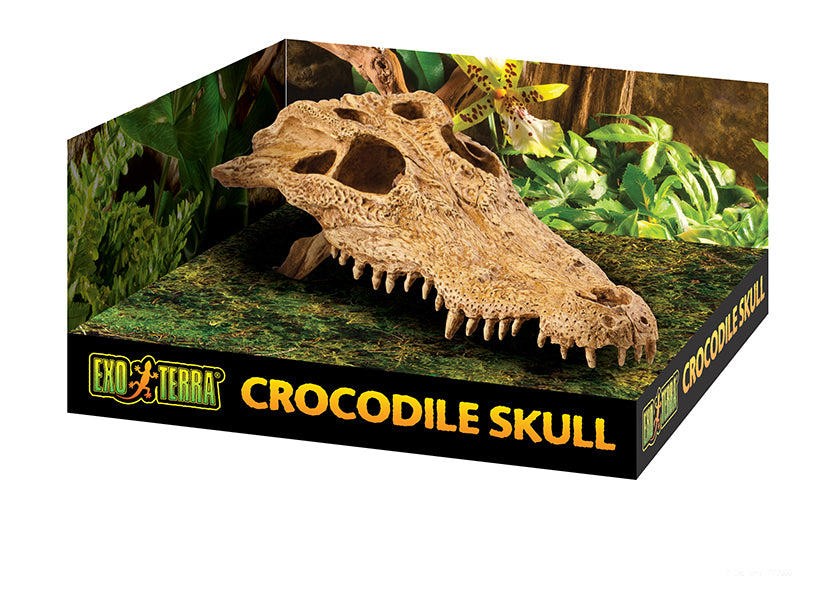 Exo Terra Crocodile Skull